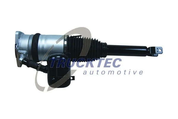 Air Suspension Strut (07.30.034)