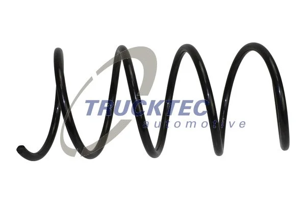 Suspension Spring (02.30.428)