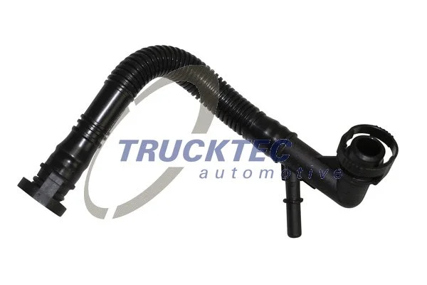 Hose, crankcase ventilation (08.19.184)