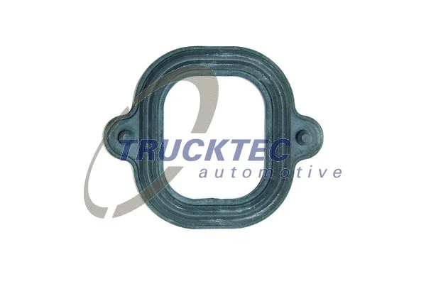 Gasket, intake manifold (01.14.057)