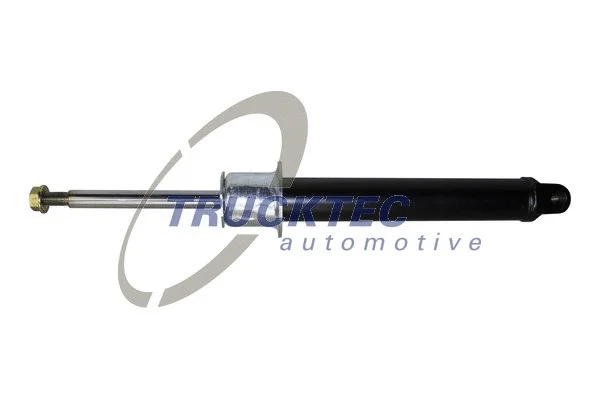 Shock Absorber (02.30.389)