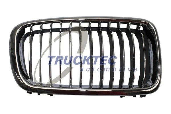 Radiator Grille (08.62.305)