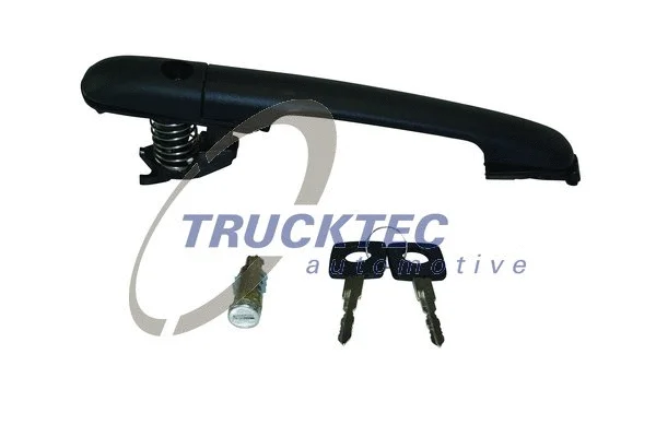 Exterior Door Handle (02.43.274)