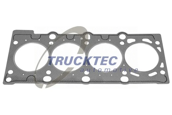 Gasket, cylinder head (08.10.005)