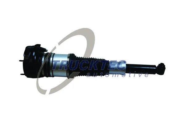 Air Suspension Strut (07.30.166)