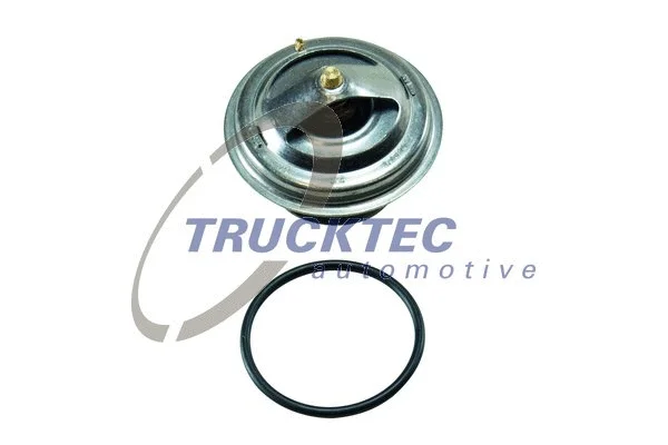 Thermostat, coolant (01.19.045)