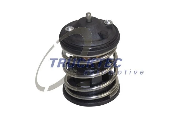Thermostat, coolant (08.19.283)
