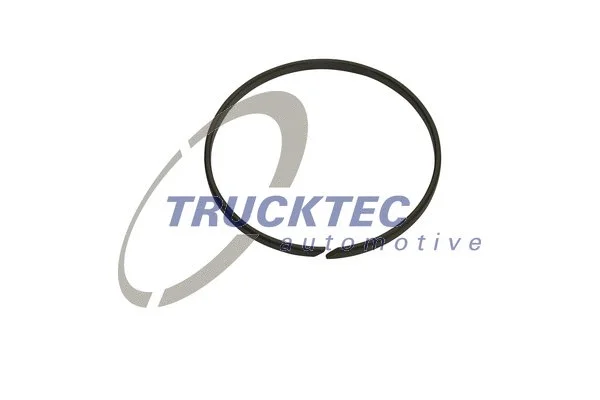 Seal Ring, gearshift linkage (01.24.094)