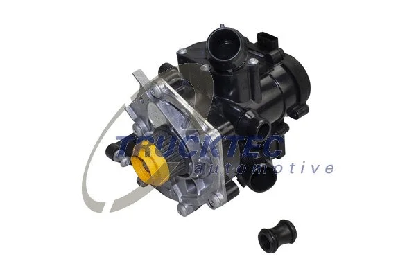 Water Pump, engine cooling (07.19.311)