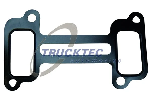 Gasket, intake manifold (04.10.076)