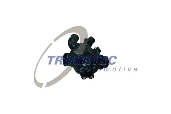Thermostat, coolant (08.19.223)