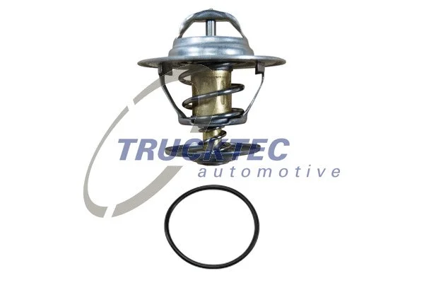 Thermostat, coolant (07.19.051)