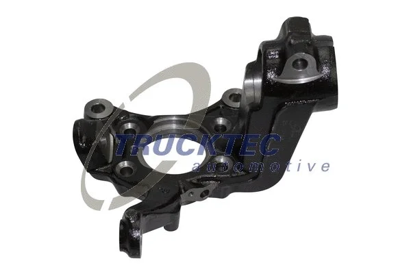 Steering Knuckle, wheel suspension (07.31.281)