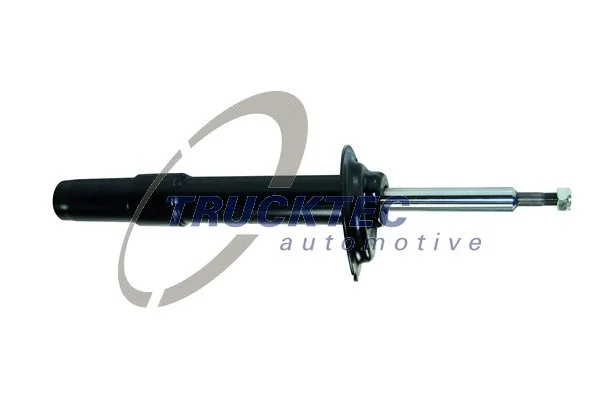 Shock Absorber (08.30.029)