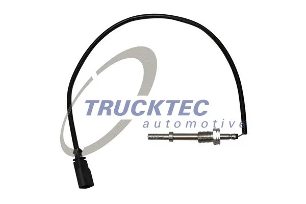 Sensor, exhaust gas temperature (07.17.106)