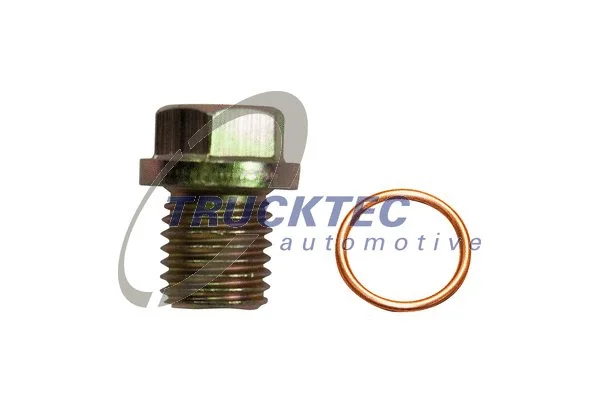 Screw Plug, oil sump (08.43.010)