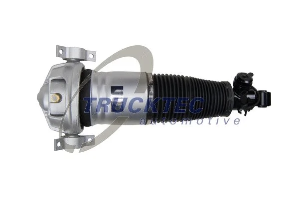 Air Suspension Strut (07.30.141)