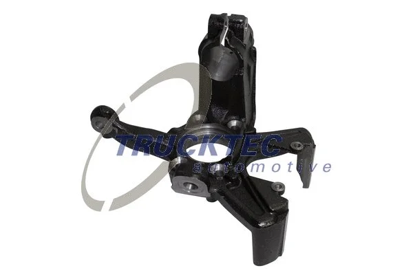 Steering Knuckle, wheel suspension (07.31.298)