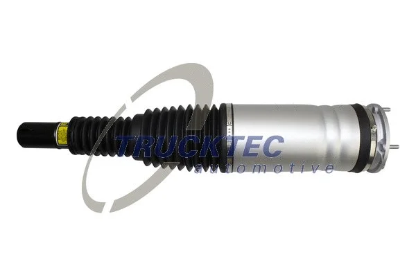 Air Suspension Strut (22.30.009)