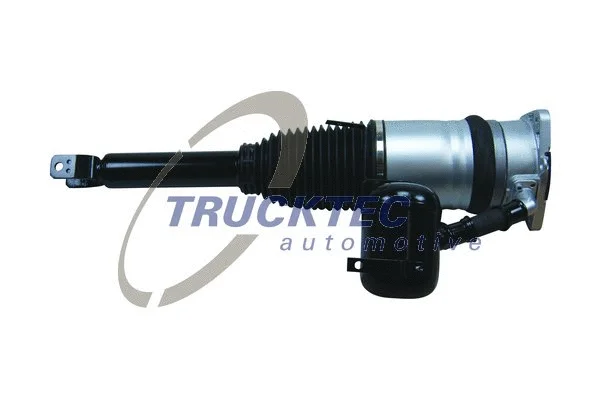 Air Suspension Strut (07.30.039)