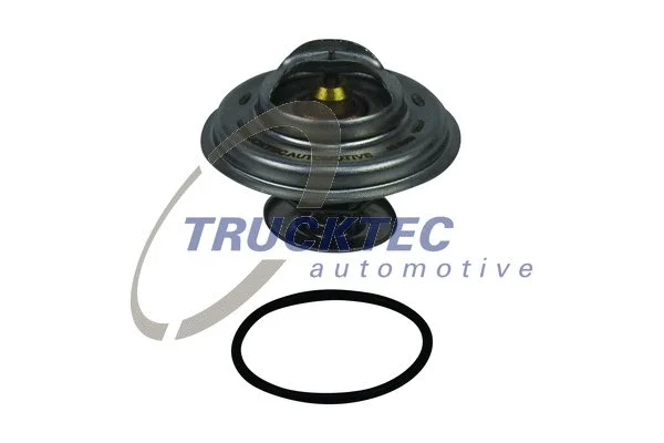 Thermostat, coolant (07.19.199)