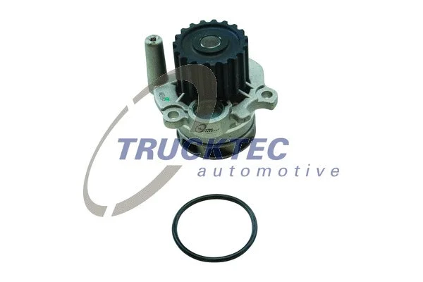 Water Pump, engine cooling (07.19.084)
