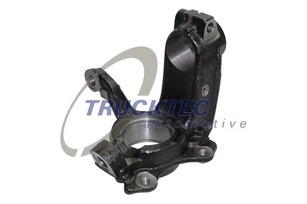 Steering Knuckle, wheel suspension (07.31.290)