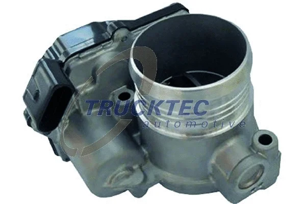 Throttle Body (07.14.256)