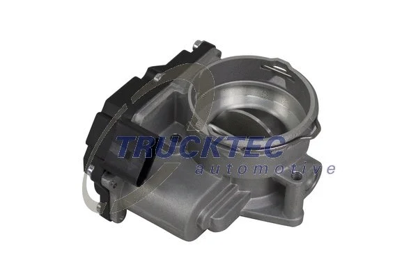 Throttle Body (07.14.231)