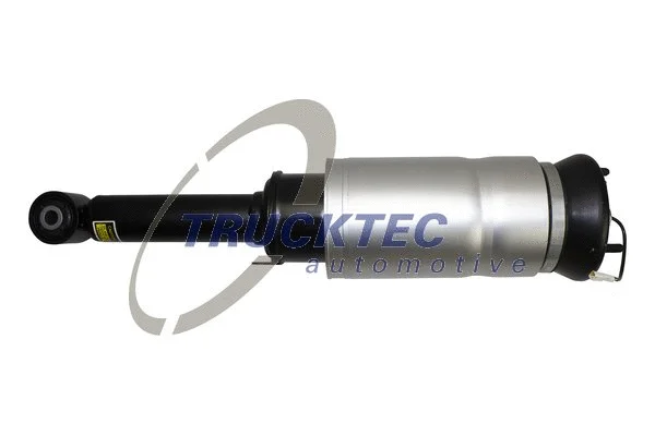 Air Suspension Strut (22.30.005)