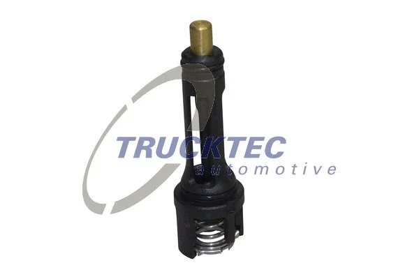 Thermostat, coolant (07.19.306)