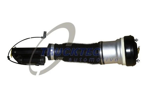 Air Suspension Strut (02.30.147)
