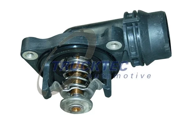 Thermostat, coolant (08.19.224)