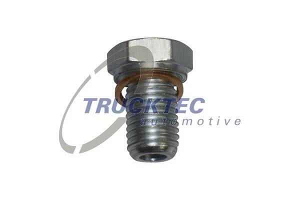 Screw Plug, oil sump (08.43.008)