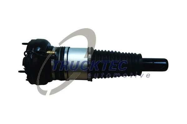 Air Suspension Strut (07.30.170)