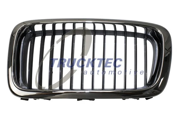 Radiator Grille (08.62.259)