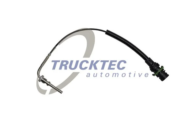 Sensor, exhaust gas temperature (01.17.013)