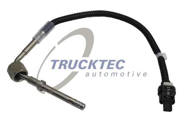 Sensor, exhaust gas temperature (02.17.155)