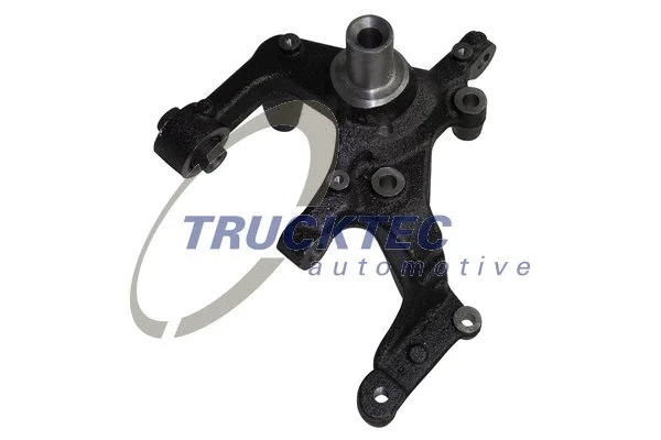 Steering Knuckle, wheel suspension (07.31.295)