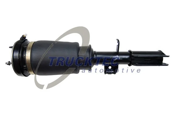Air Suspension Strut (08.30.039)