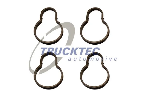 Gasket, cylinder head cover (02.10.136)