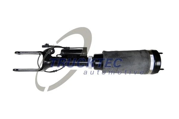 Air Suspension Strut (02.30.378)