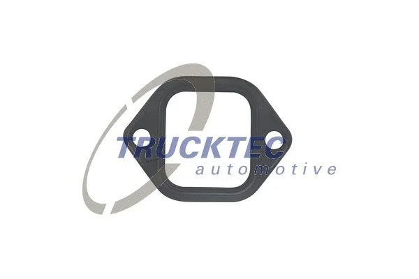 Gasket, exhaust manifold (05.16.001)