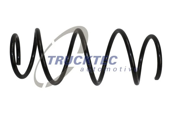 Suspension Spring (02.30.431)