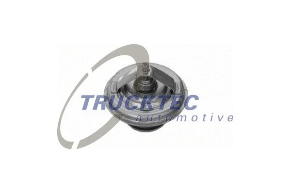 Thermostat, coolant (08.19.048)