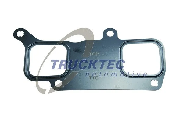 Gasket, intake manifold (01.16.097)