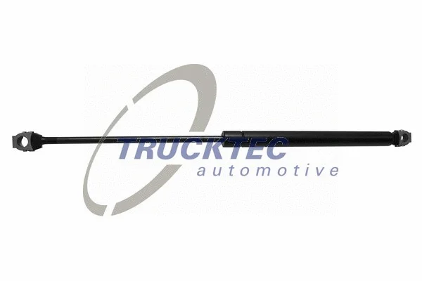 Gas Spring, bonnet (08.62.019)