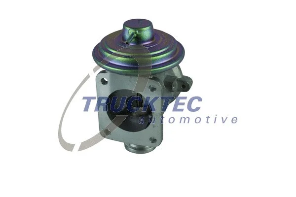 EGR Valve (08.16.017)