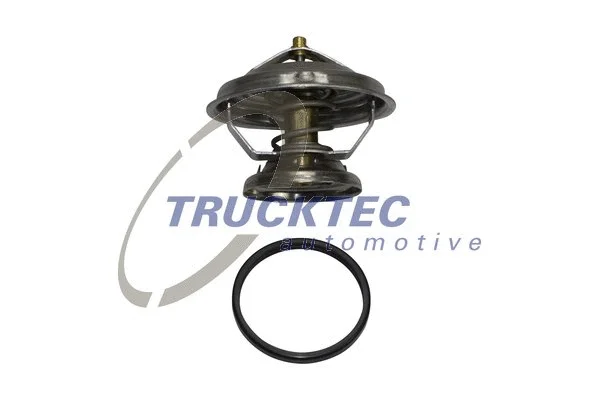 Thermostat, coolant (02.19.115)