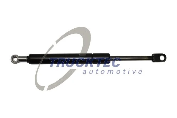 Gas Spring, rear window (08.63.025)